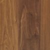 American Walnut