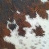 Hairyskin Black Brown White
