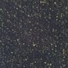 Samsara Pilot Note 13S001