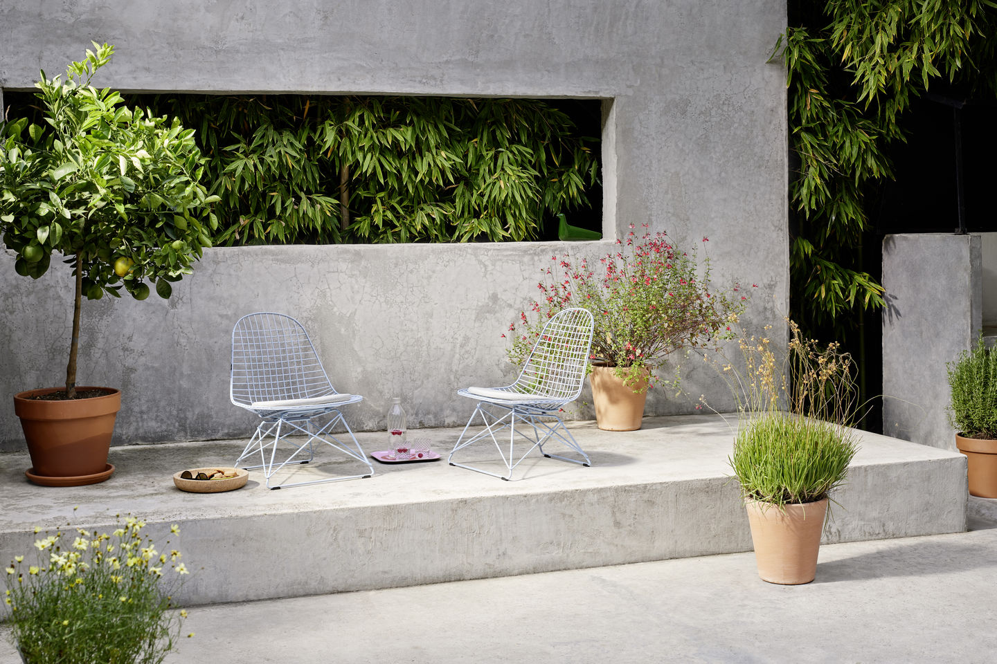 Wire Chair LKR - Vitra - Image 9