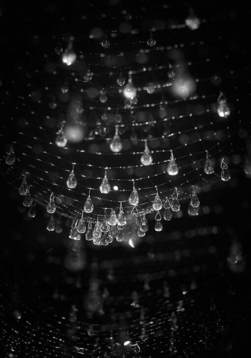Lacrime del Pescatore Hanging Lamp - Ingo Maurer - Image 4