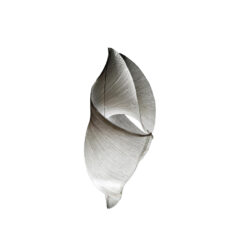 Babadul Floor Lamp - Ingo Maurer