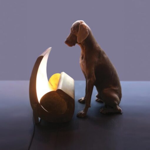 Escargot - Nemo Lighting - Image 4