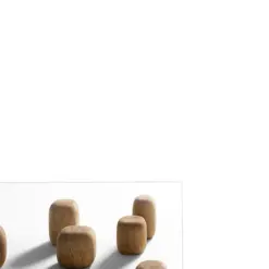 Alternative view of Ishi - De Padova