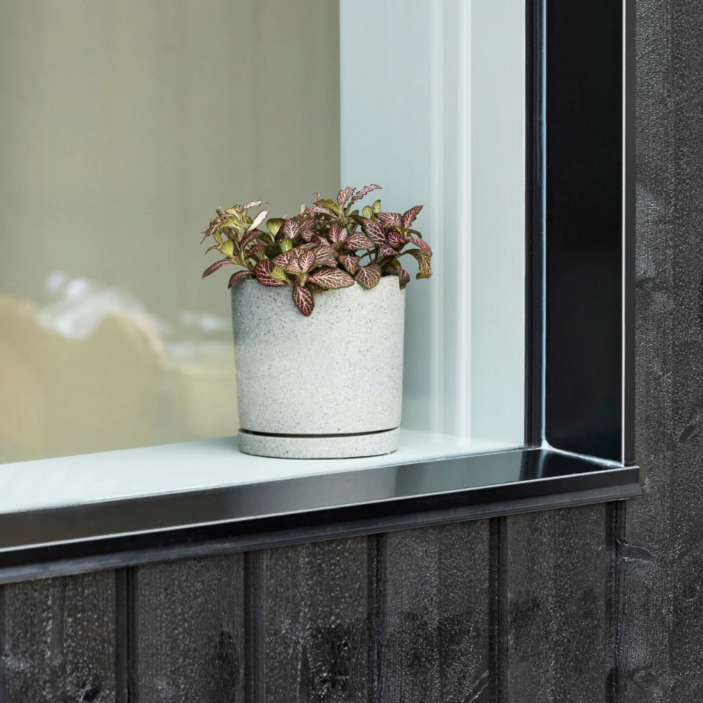 Plant Pot with Saucer - Hay - Image 5