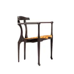 Tiger Art Gaulino - BD Barcelona